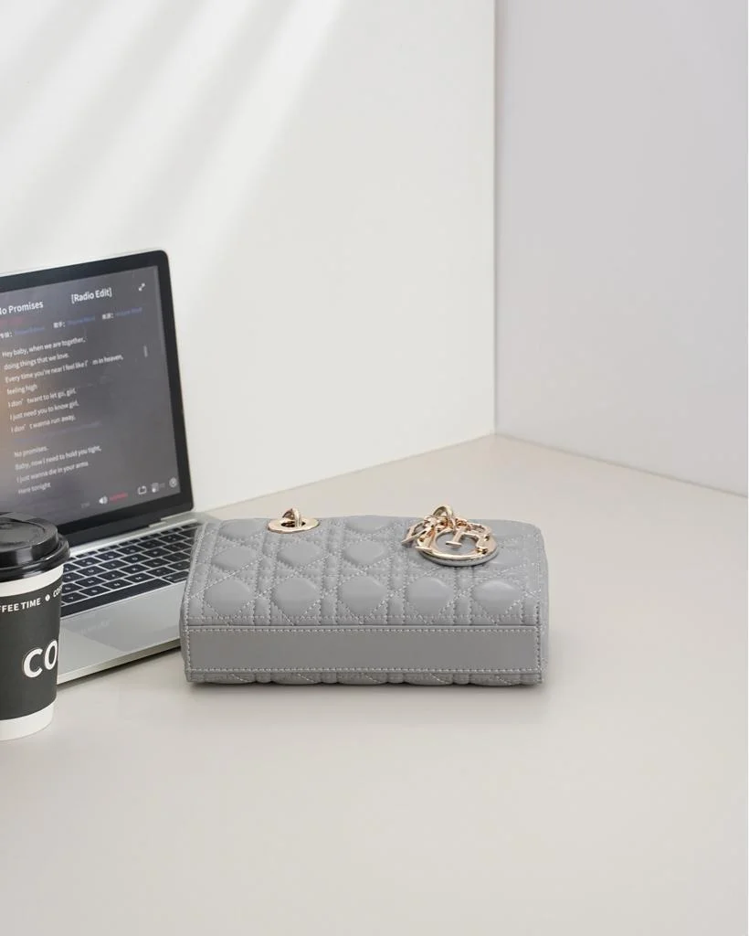 Dior J-joy Medium Grey Bag product view 2