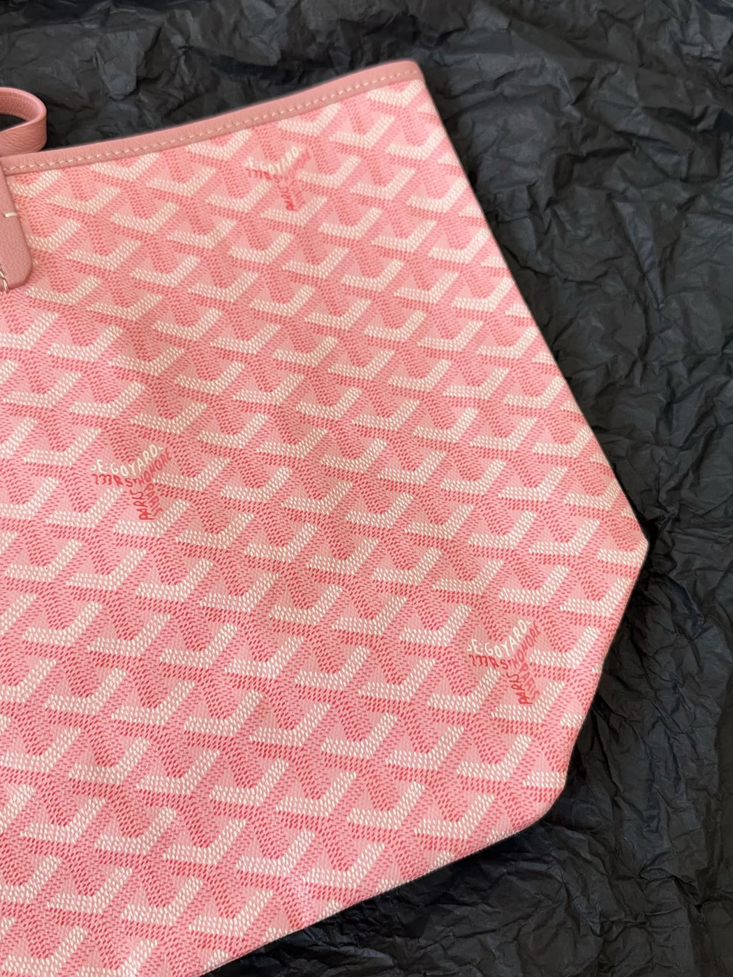 Goyard Saint Louis PM Tote Bag & Wallet product view 5