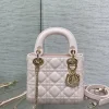 Dior Mini Lady Bag product view 1