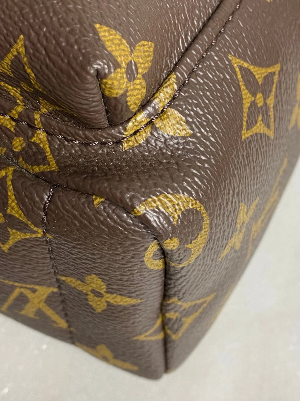Louis Vuitton Palm Springs Mini backpack in monogram canvas product view 5