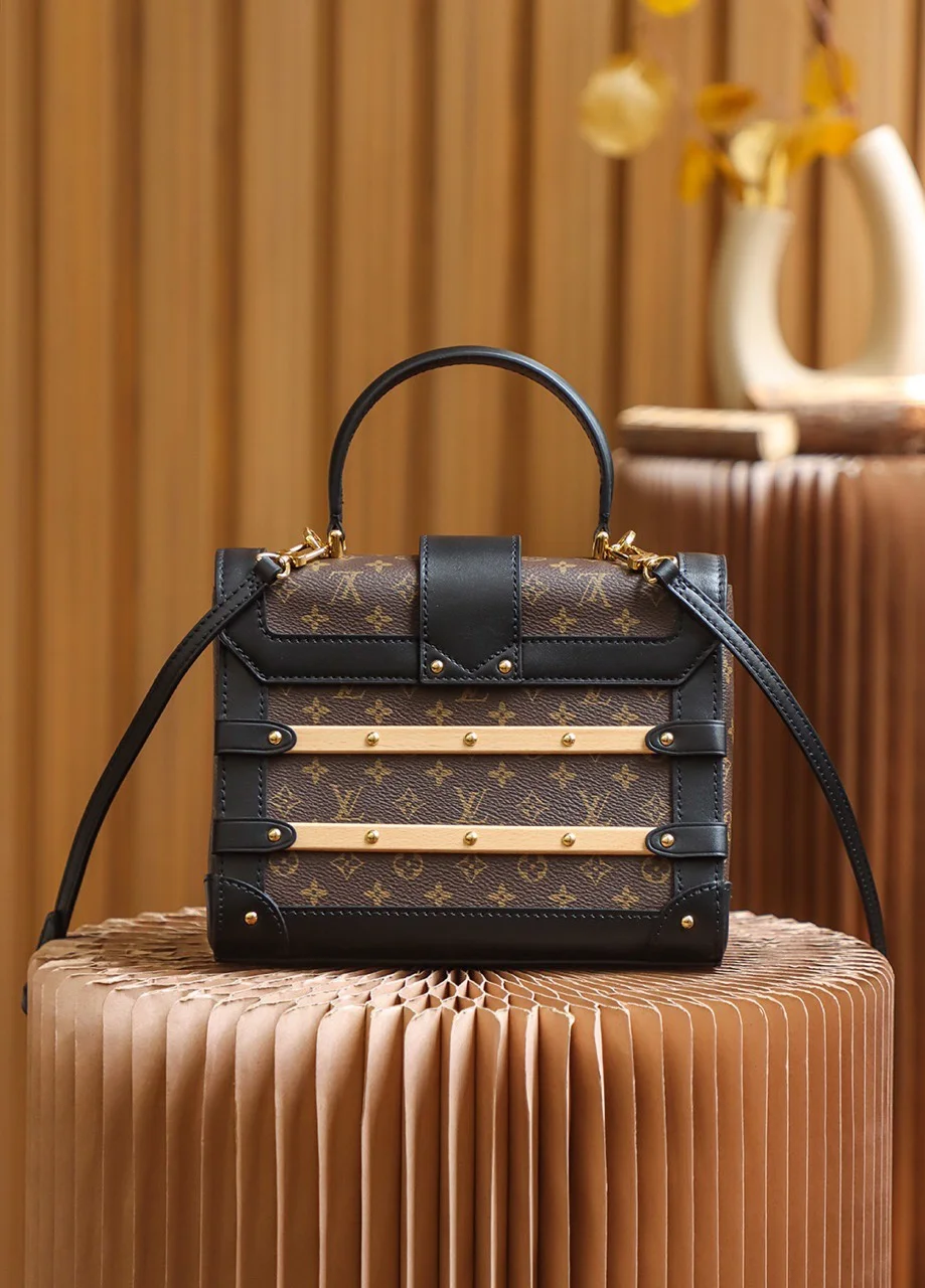Louis Vuitton Monogram Trianon PM Top-Handle Bag Handbags 21x18x11cm product view 3
