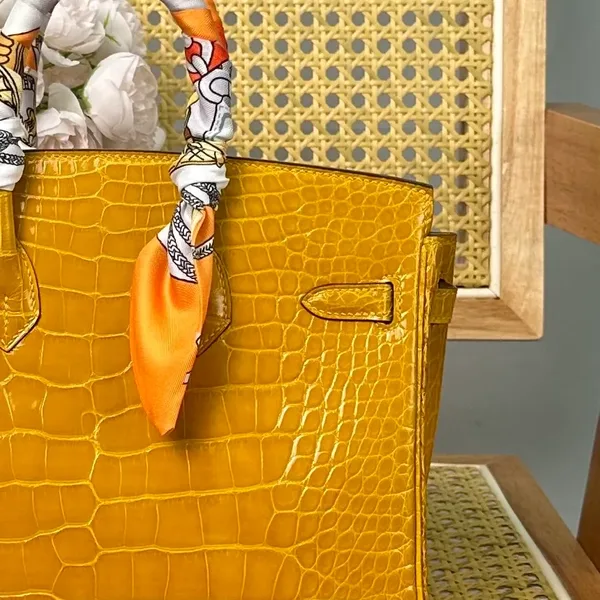 Hermès Birkin 25 cm Amber Yellow Crocodile Leather Silver Hardware Bag product view 4
