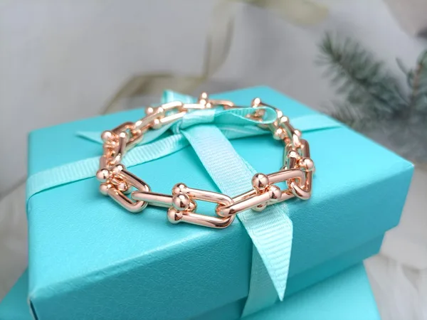 Tiffany & Co. HardWear Smooth Clasp Link Bracelet Rose-Tone product photo