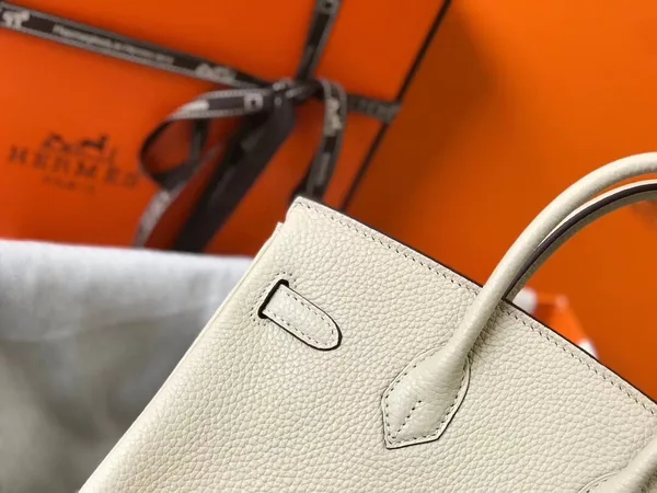 Hermes Birkin 25 Bag In Beton Clemence Leather with GHW product view 5