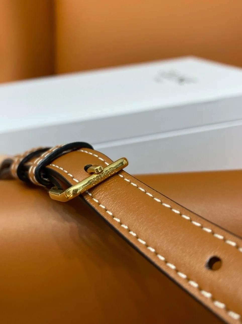 Celine Claude Shoulder Bag in Brown Calfskin product view 6