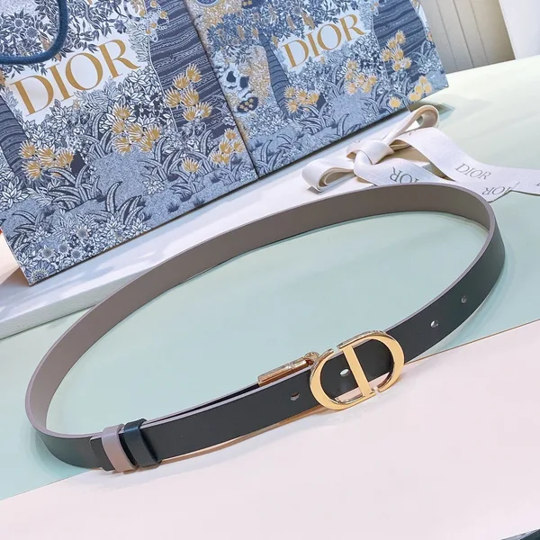 Dior 30 Montaigne Reversible 20MM Belt in Grey and Black Calfskin product view 7