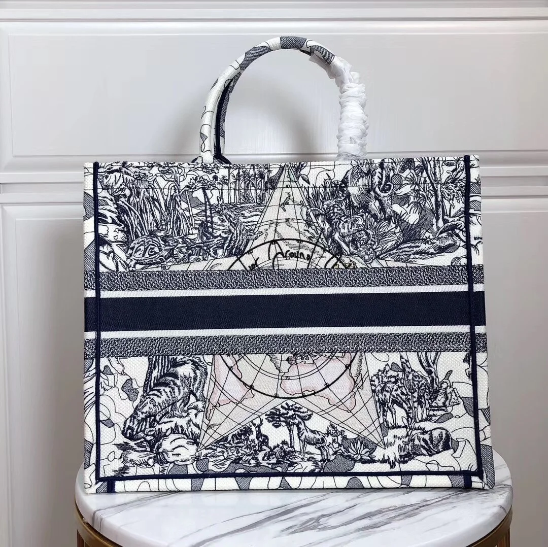 Dior Large Book Tote Bag In Around The World Embroidered Canvas product view 5