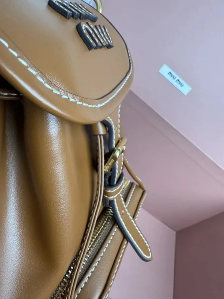 Miu Miu Small Backpack in Brown Calfskin product view 4