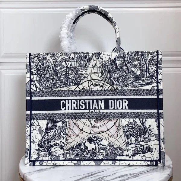 Dior Large Book Tote Bag In Around The World Embroidered Canvas product view 4