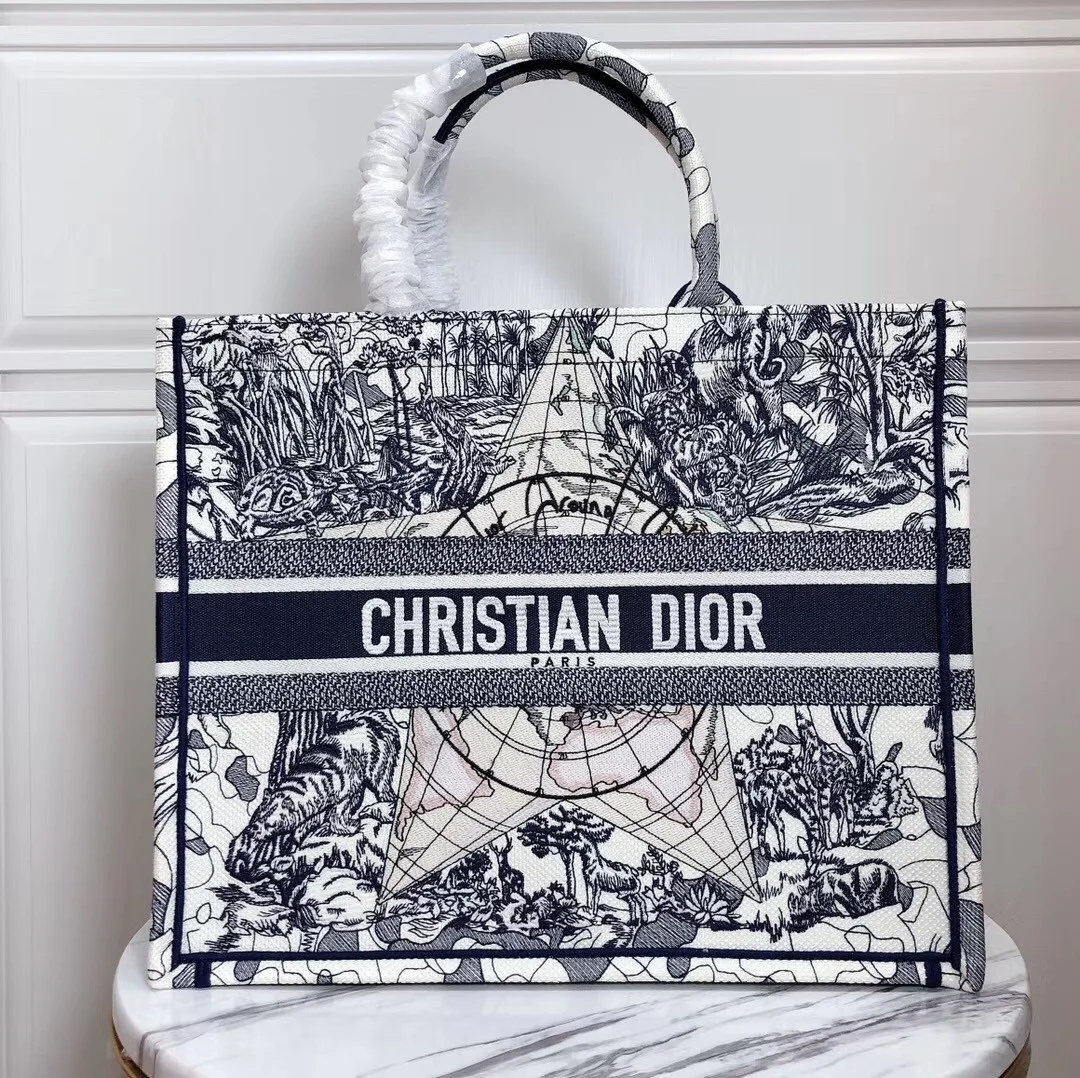 Dior Large Book Tote Bag In Around The World Embroidered Canvas product view 4