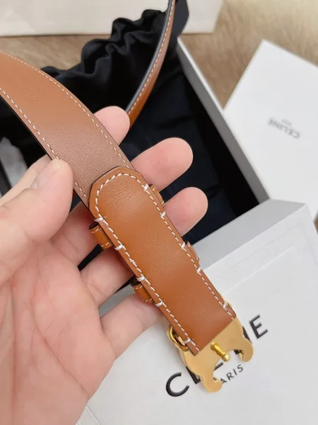 Celine Medium Triomphe Belt 25MM in Brown Calfskin product view 5
