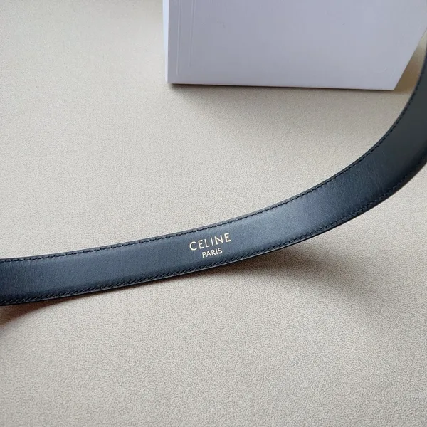 Celine Medium Western Belt 25mm — Black Calfskin with Gold-Tone Hardware product view 6