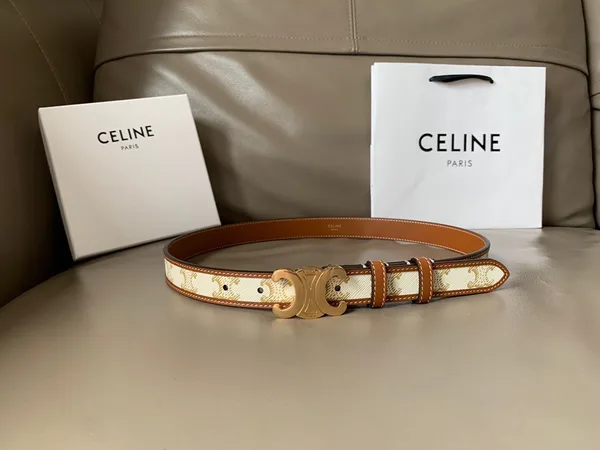 Celine Medium Triomphe Belt 25MM in White Triomphe Canvas product view 2