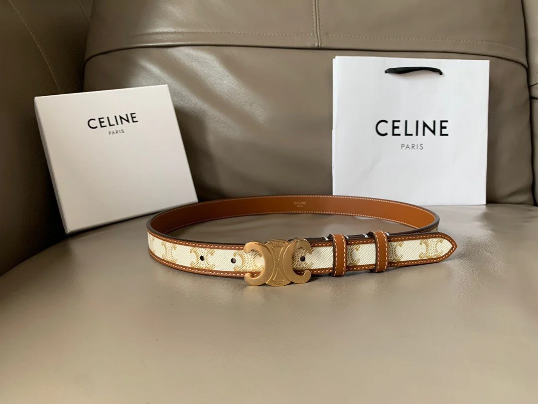 Celine Medium Triomphe Belt 25MM in White Triomphe Canvas product view 2