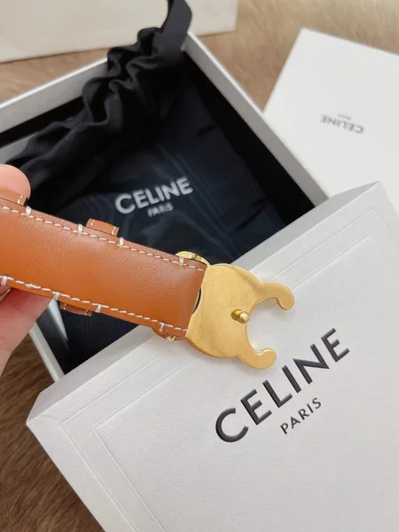 Celine Medium Triomphe Belt 25MM in Brown Calfskin product view 2