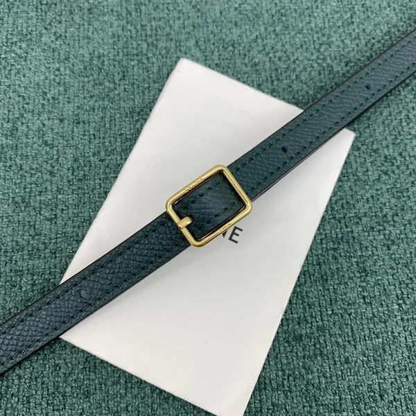 Celine Belt Nano Bag In Amazone Grained Calfskin product view 8