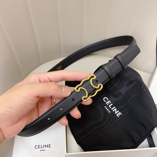 Celine Medium Triomphe Frame Belt 25MM in Black Calfskin product view 3