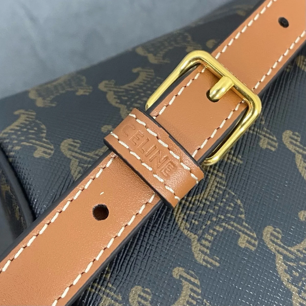 Celine Bonnie Backpack in Triomphe Canvas and Calfskin product view 12