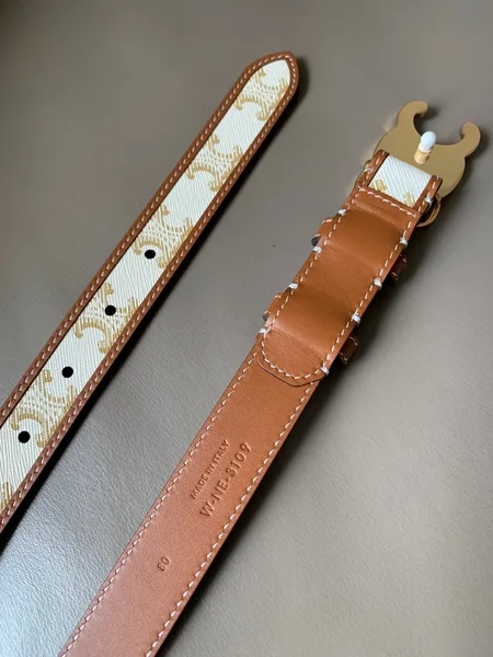Celine Medium Triomphe Belt 25MM in White Triomphe Canvas product view 7