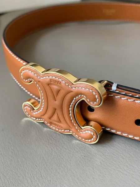 Celine Medium Cuir Triomphe Belt 25MM in Brown Calfskin product view 6