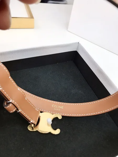 Celine Small Triomphe Belt 18MM in Brown Calfskin product view 8