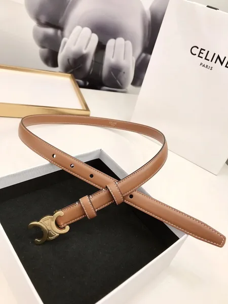 Celine Small Triomphe Belt 18MM in Brown Calfskin product view 5