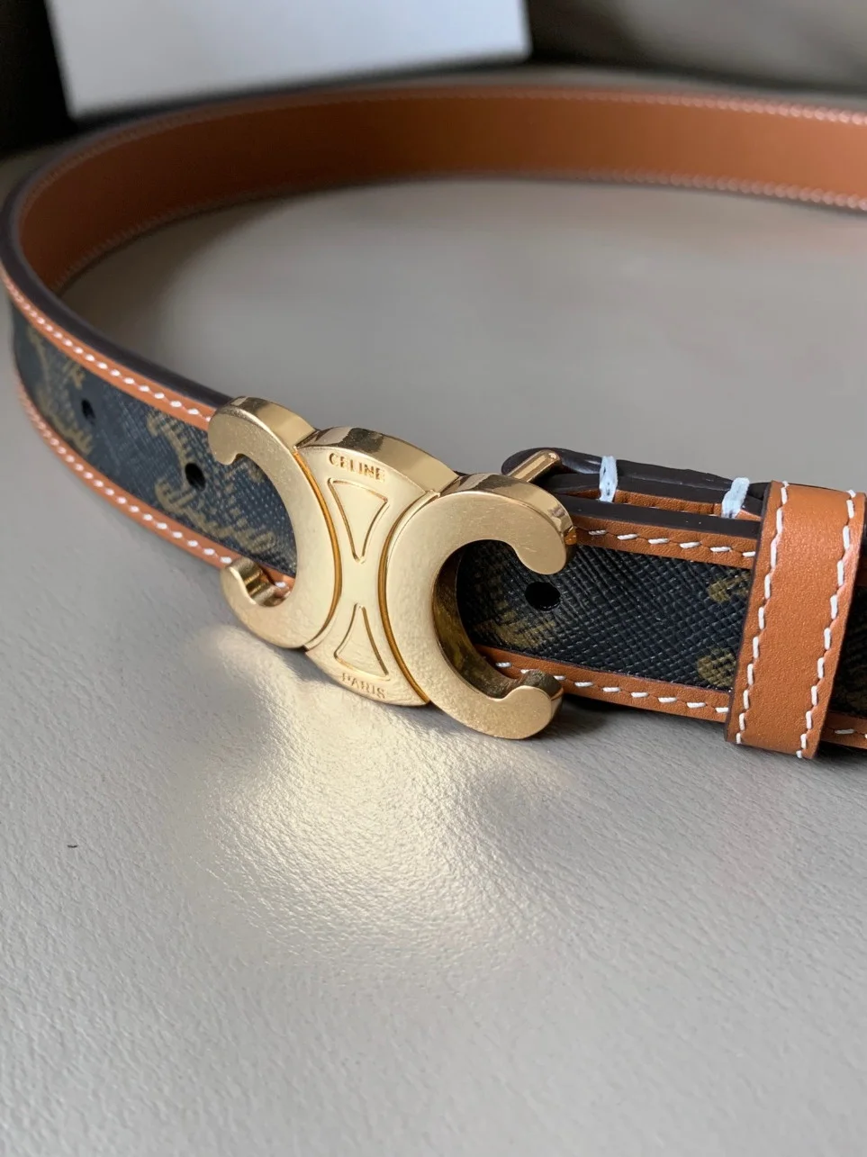 Celine Medium Triomphe Belt 25MM in Tan Triomphe Canvas product view 5