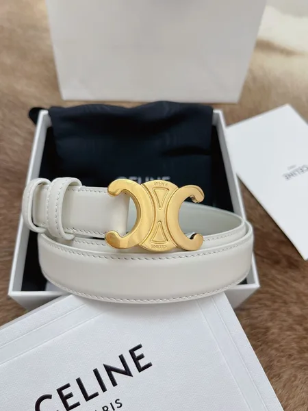 Celine Medium Triomphe Belt 25MM in White Calfskin product view 2
