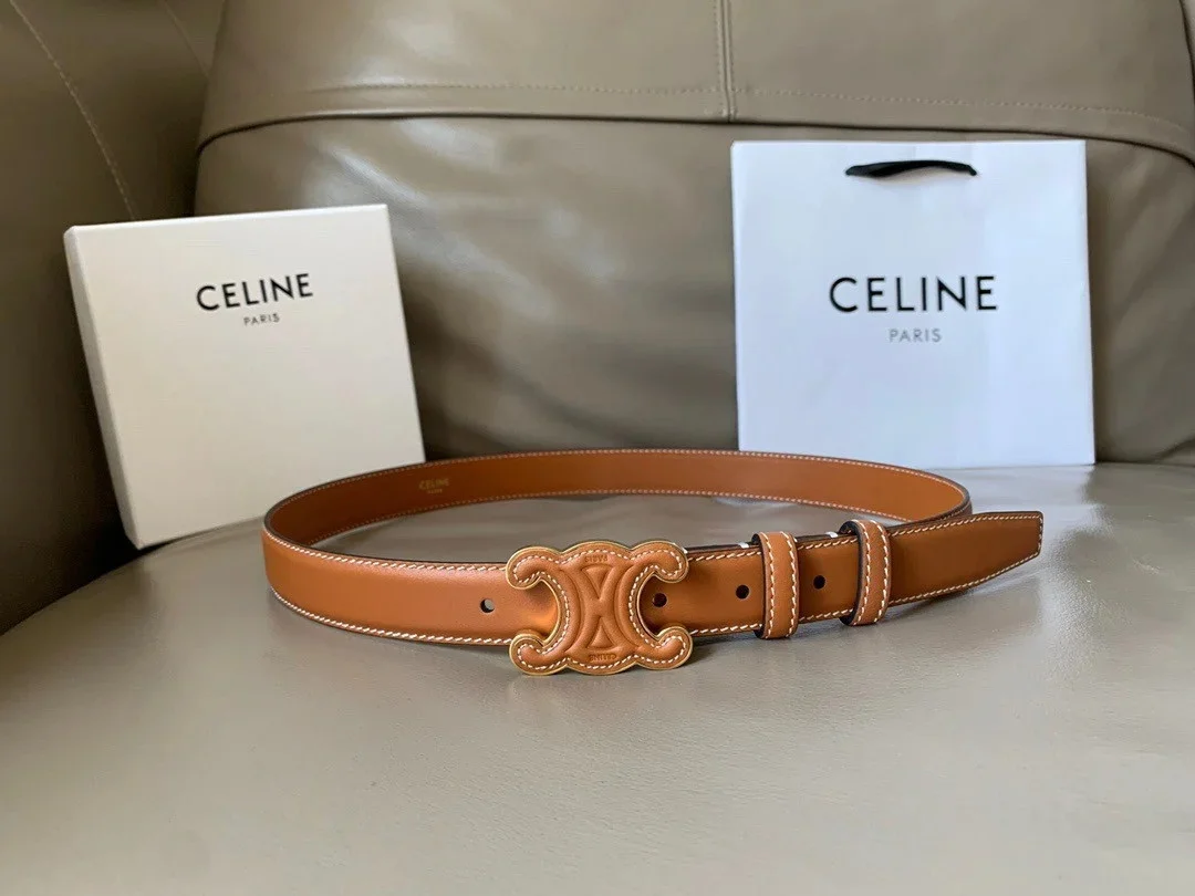 Celine Medium Cuir Triomphe Belt 25MM in Brown Calfskin product view 2