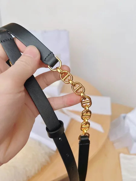 Dior Caro 15MM Belt in Black Calfskin and Chain product view 6