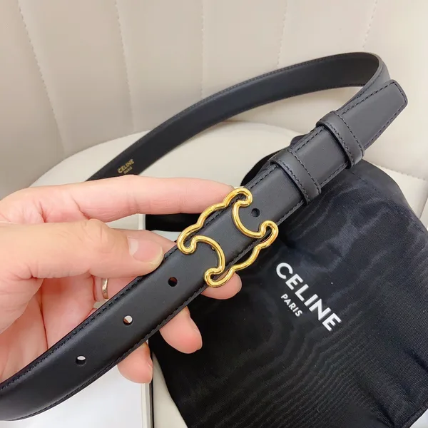 Celine Medium Triomphe Frame Belt 25MM in Black Calfskin product view 5