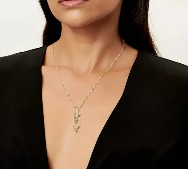 Tiffany & Co. Titan Long Link Pendant Necklace Gold-Tone product view 4