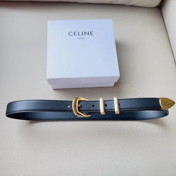 Celine Medium Western Belt 25mm — Black Calfskin with Gold-Tone Hardware product view 3