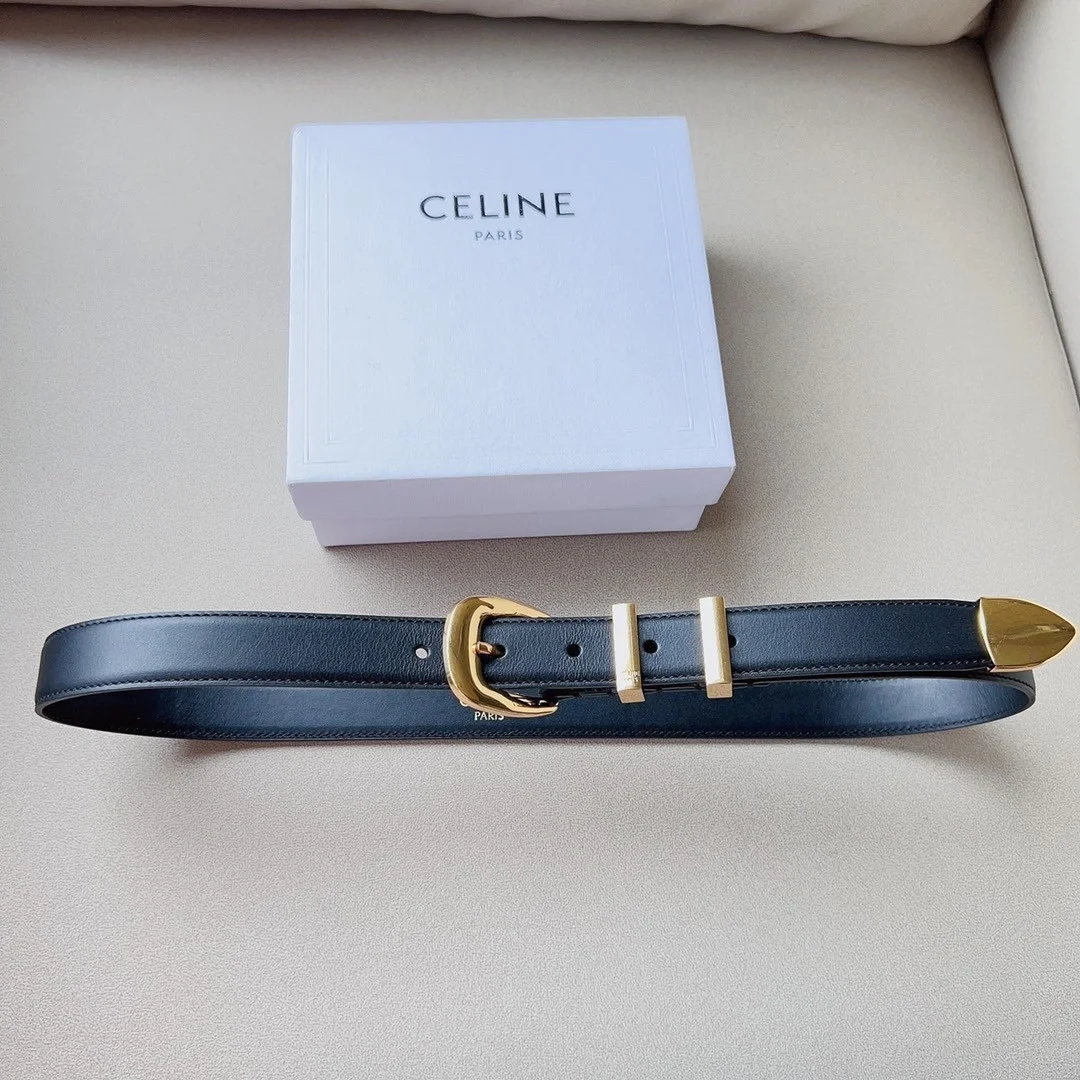 Celine Medium Western Belt 25mm — Black Calfskin with Gold-Tone Hardware product view 3