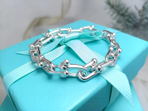 Tiffany & Co. HardWear Smooth Clasp Link Bracelet Silver-Tone product photo