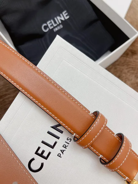 Celine Medium Triomphe Belt 25MM in Brown Calfskin product view 7