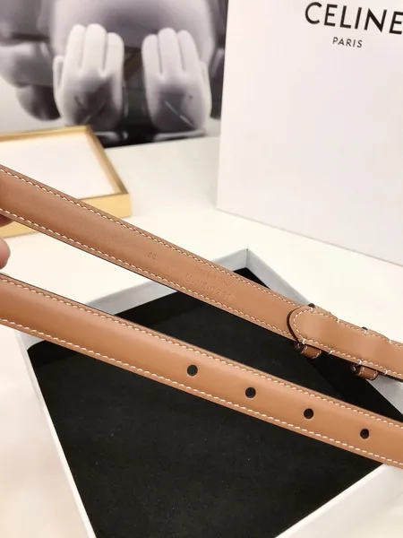 Celine Small Triomphe Belt 18MM in Brown Calfskin product view 4