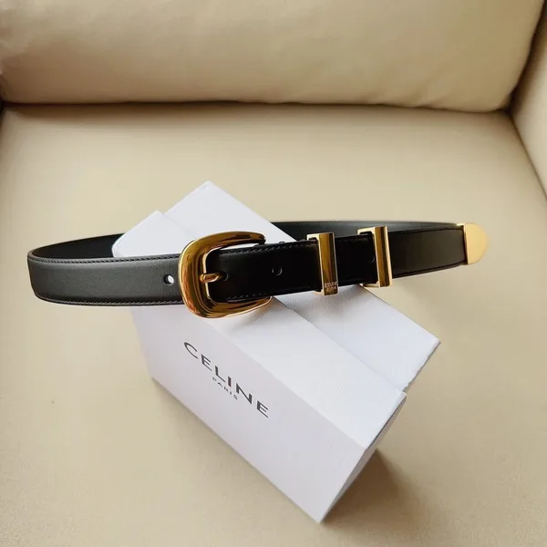 Celine Medium Western Belt 25mm — Black Calfskin with Gold-Tone Hardware product view 2