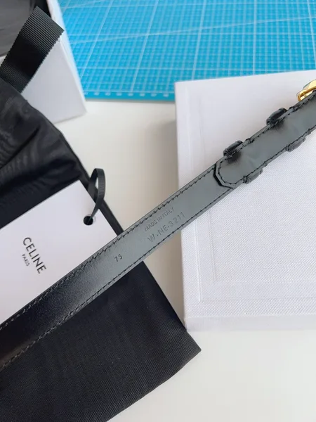 Celine Small Triomphe Belt 18MM in Black Calfskin product view 3
