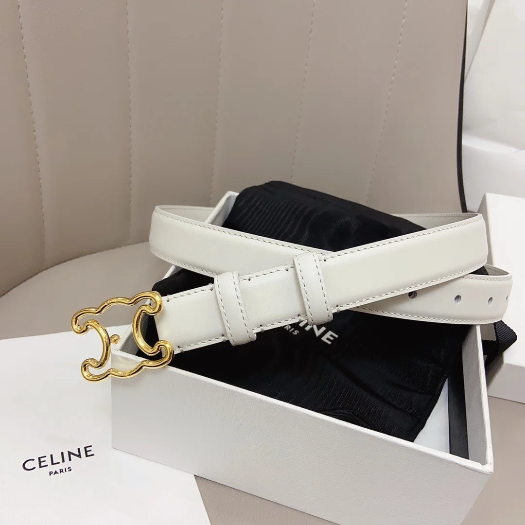 Celine Medium Triomphe Frame Belt 25MM in White Calfskin product view 6