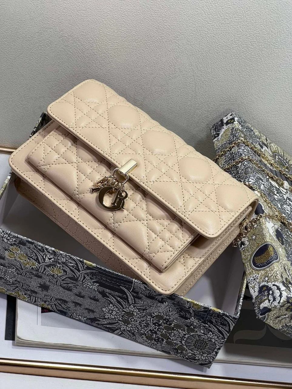 Dior Lady Dior Chain Pouch In Beige Cannage Lambskin product view 5
