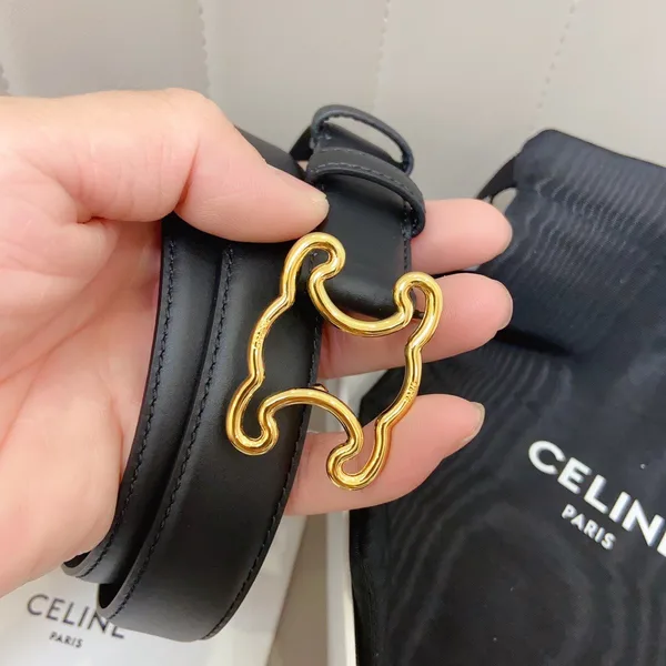 Celine Medium Triomphe Frame Belt 25MM in Black Calfskin product view 9