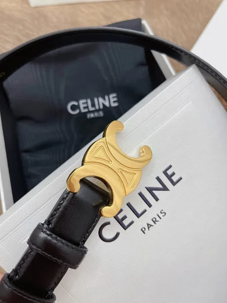 Celine Medium Triomphe Belt 25MM in Black Calfskin product view 4