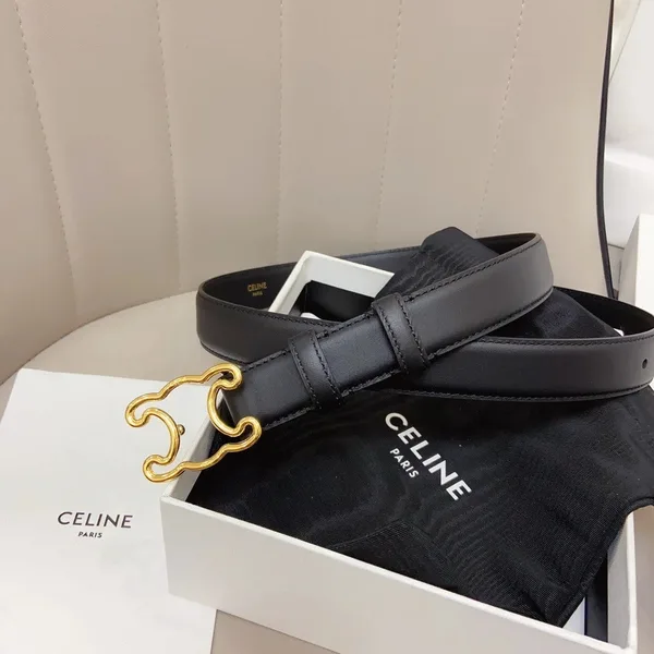 Celine Medium Triomphe Frame Belt 25MM in Black Calfskin product view 4