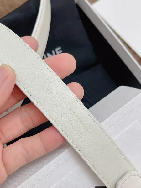 Celine Medium Triomphe Belt 25MM in White Calfskin product view 6