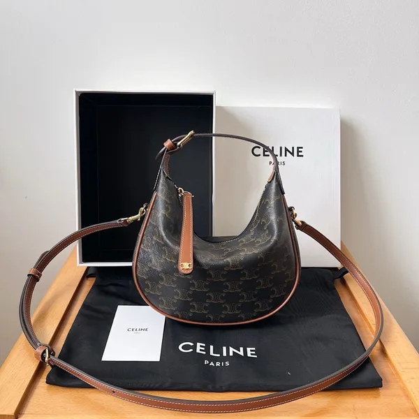 Celine Lulu Teen Hobo Bag in Triomphe Canvas product view 9