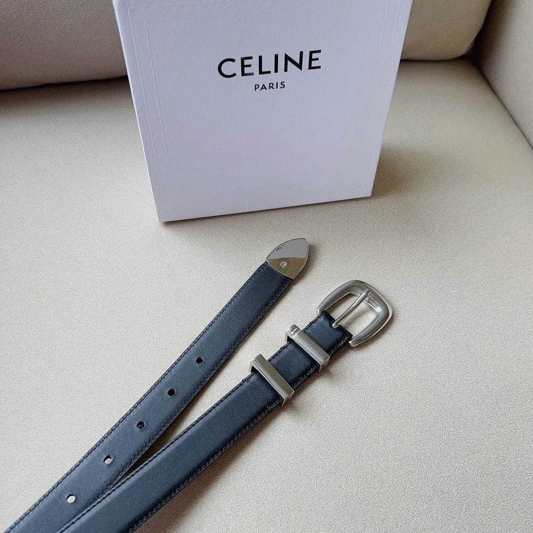 Celine Medium Western Belt 25mm — Black Calfskin with Silver-Tone Hardware product view 6