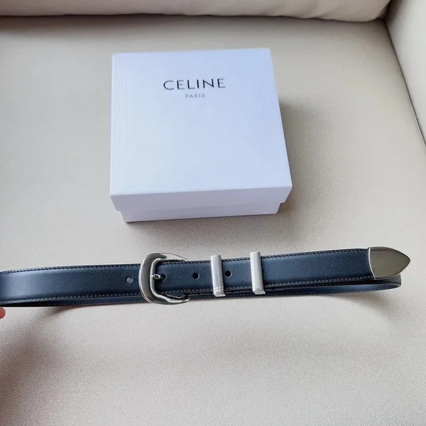 Celine Medium Western Belt 25mm — Black Calfskin with Silver-Tone Hardware product view 5