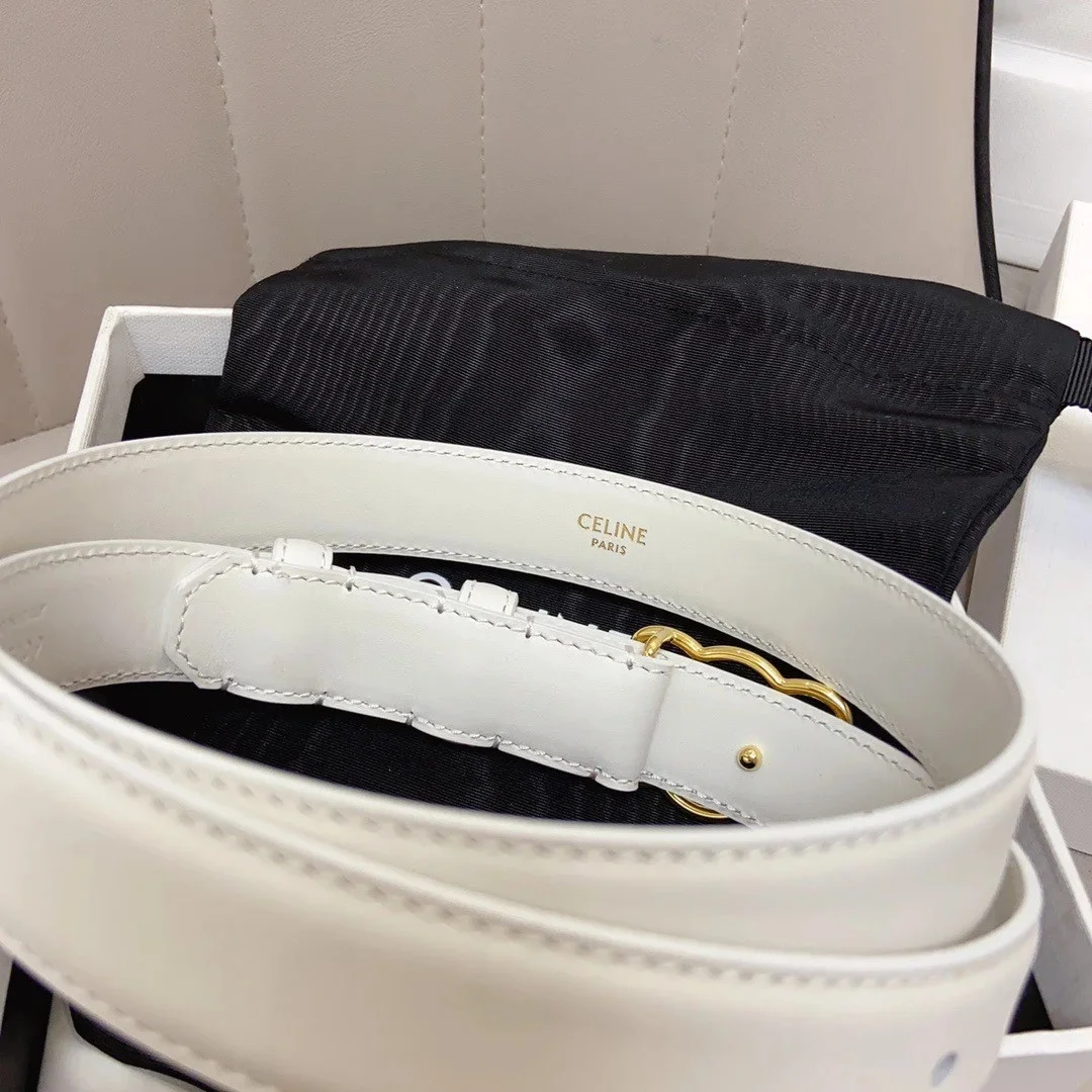 Celine Medium Triomphe Frame Belt 25MM in White Calfskin product view 4