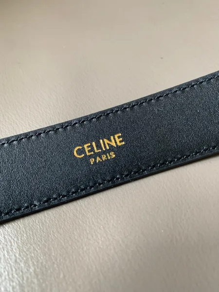 Celine Medium Cuir Triomphe Belt 25MM in Black Calfskin product view 8